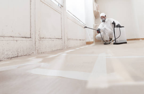 24/7 Emergency Mold Cleanup experts in Bailey, NC