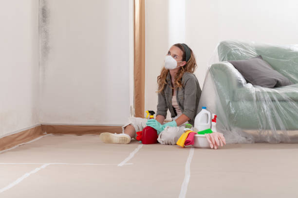 Reliable Mold Cleanup contractor in Bailey, NC by Cheap Mold Removal